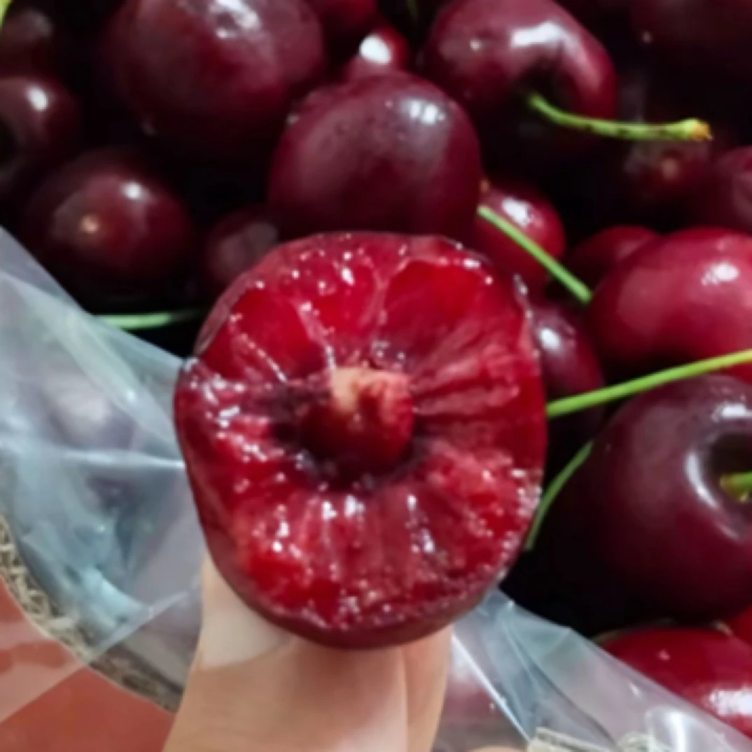 新鲜2J车厘子 2-10斤桑提娜加拿大