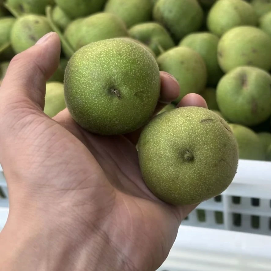 文玩核桃把件四座楼青皮 拍1发3