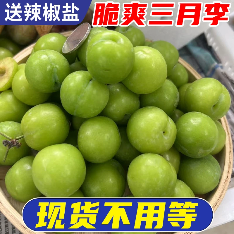 【现货】广东三月李早李子青李子珍珠李脆爽新鲜采摘当季应季水果