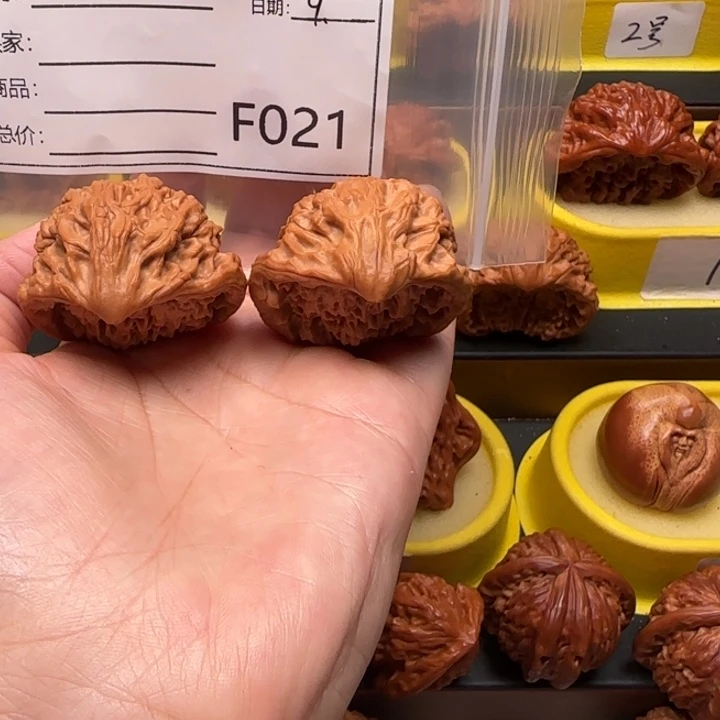 邹***華大叶紫檀（黑酸枝木类）蛇王41