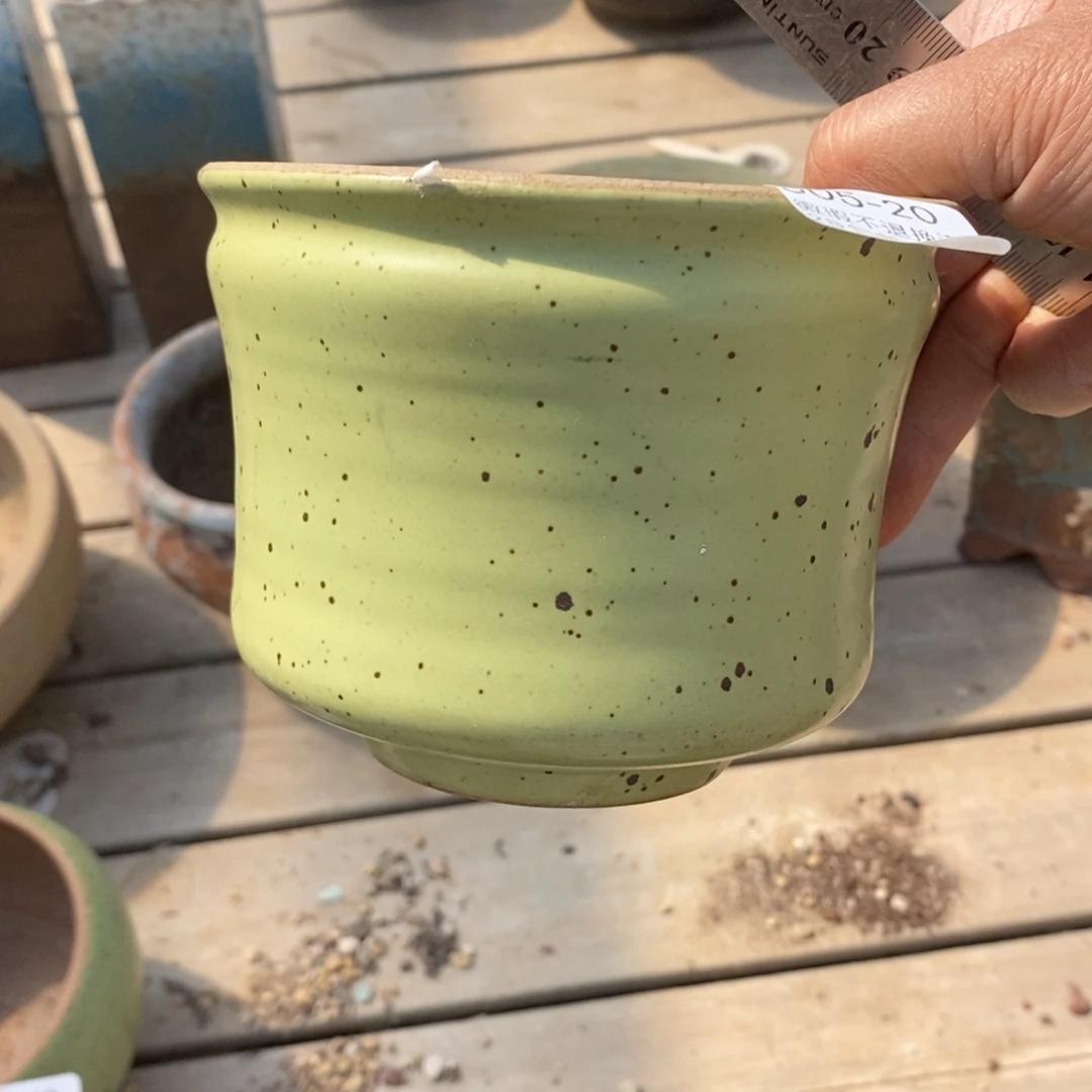 红陶20号多肉盆一个呀