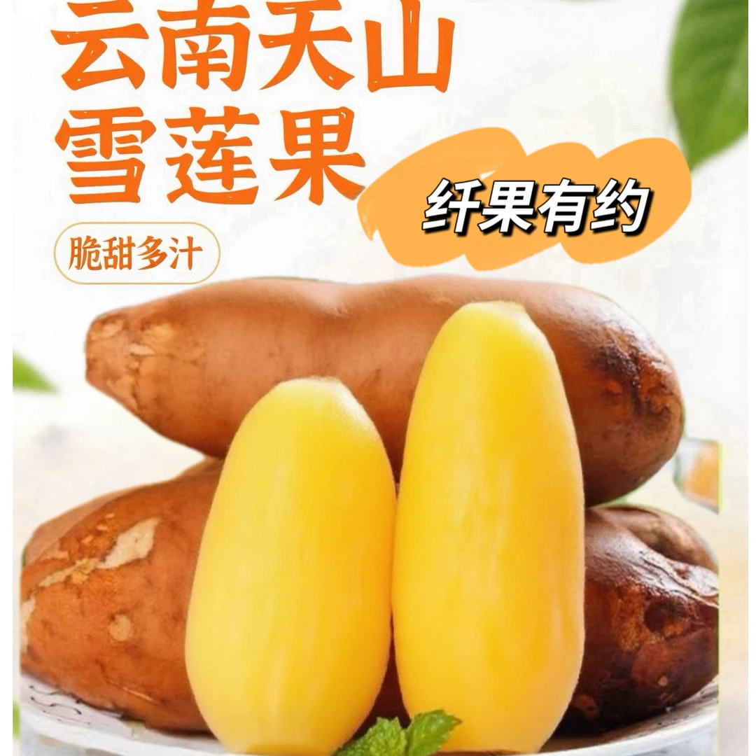 【送削皮刀】正宗云南天山雪莲果头茬黄白果净重5斤装现挖现发