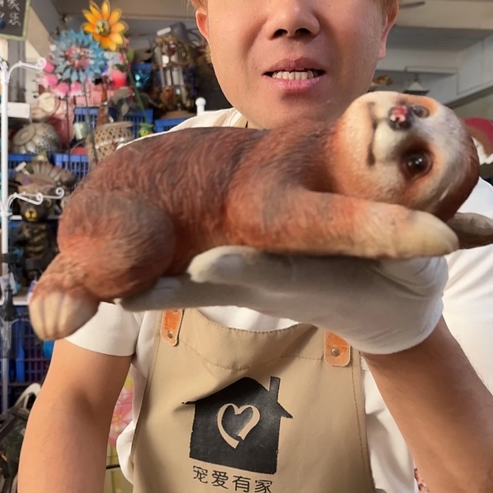 核桃木/黑胡桃（胡桃木）