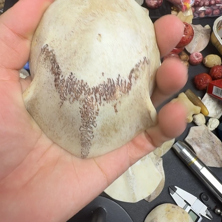 季***妈花岗石铁合金养殖鹿头骨制作三界牌