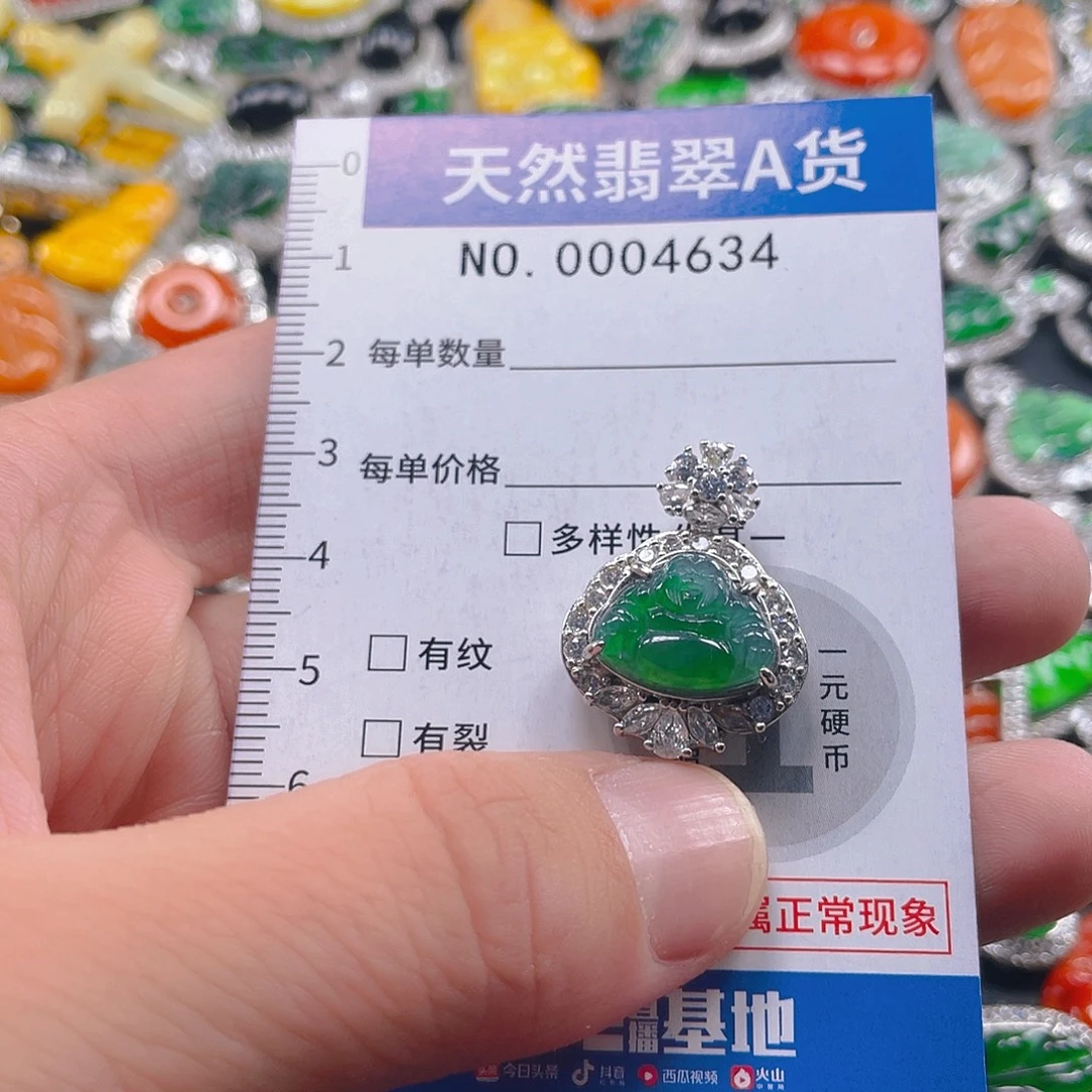 翡翠未镶嵌吊坠(不含链)