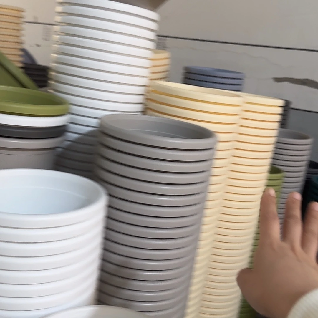 微瑕4号无托8个，灰白