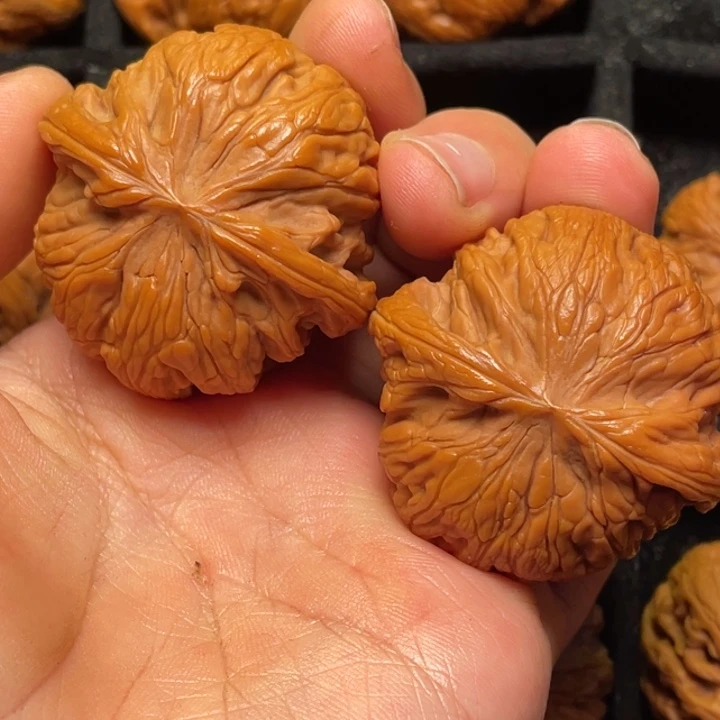 文玩核桃把件秦岭山脉核桃