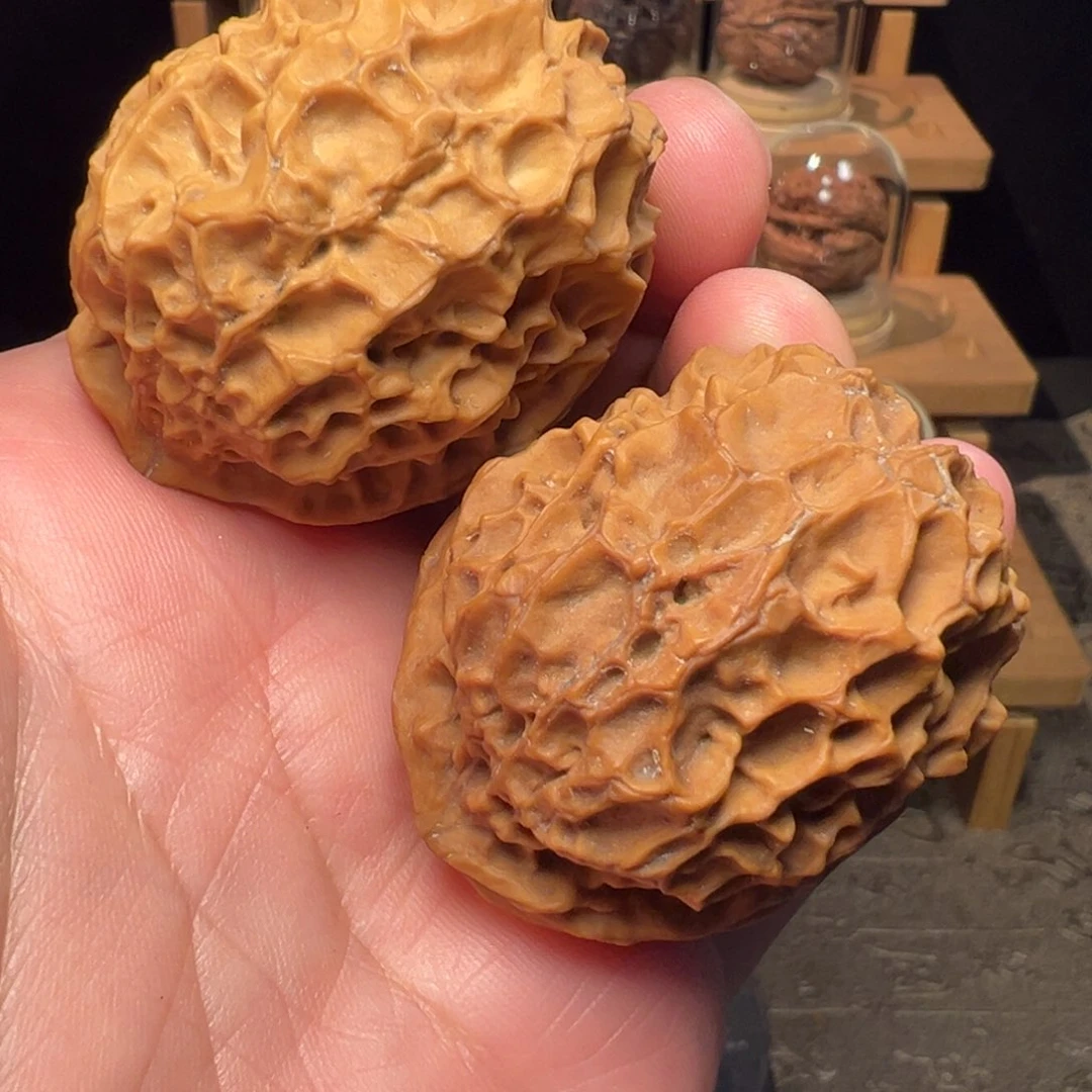 文玩核桃把件凤凰牡丹46mm