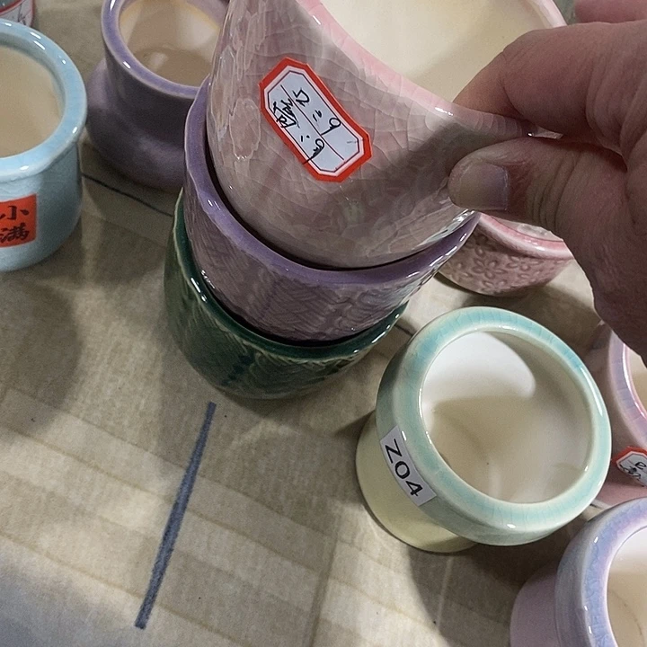 花盆抢购清货马上开始