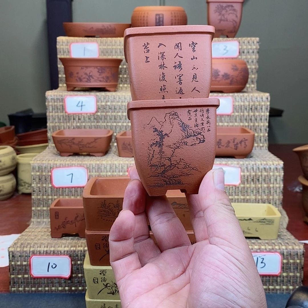 紫砂花盆詠****ヤ在外面玩
