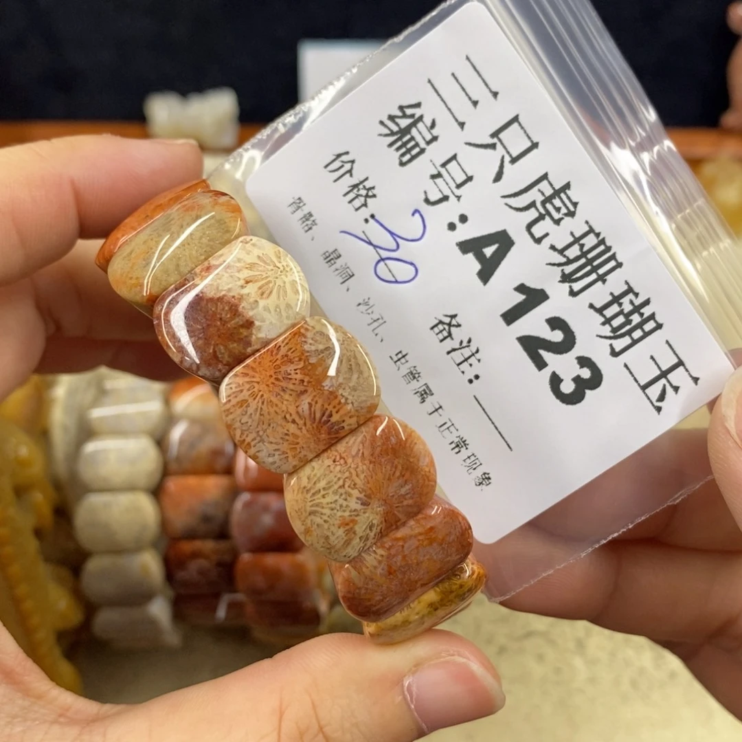 硅化珊瑚（珊瑚玉）1未镶嵌5****3