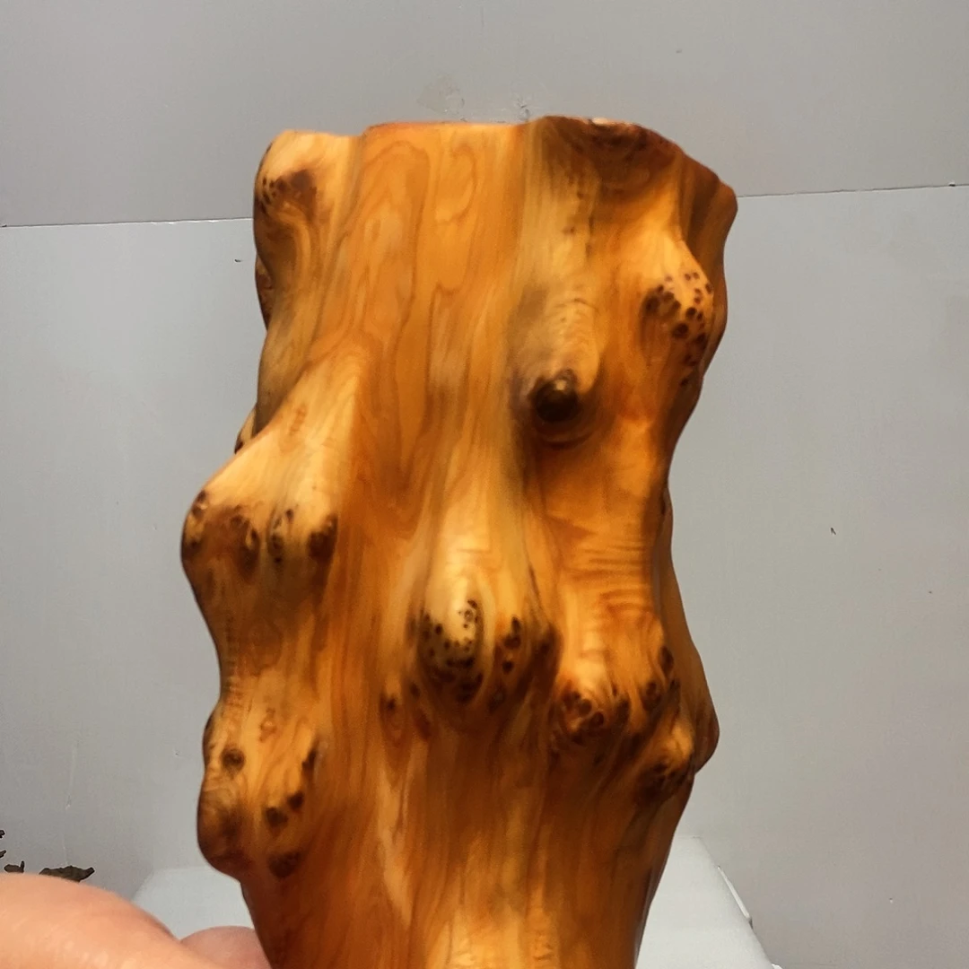 柏木（崖柏）增*堂崖柏