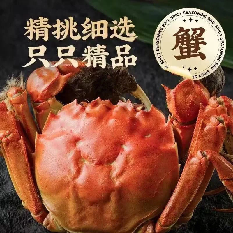 4【活蟹】精挑大闸蟹公蟹5.1-4.8两母蟹4.1-3.8两10只鲜活冷链包邮T