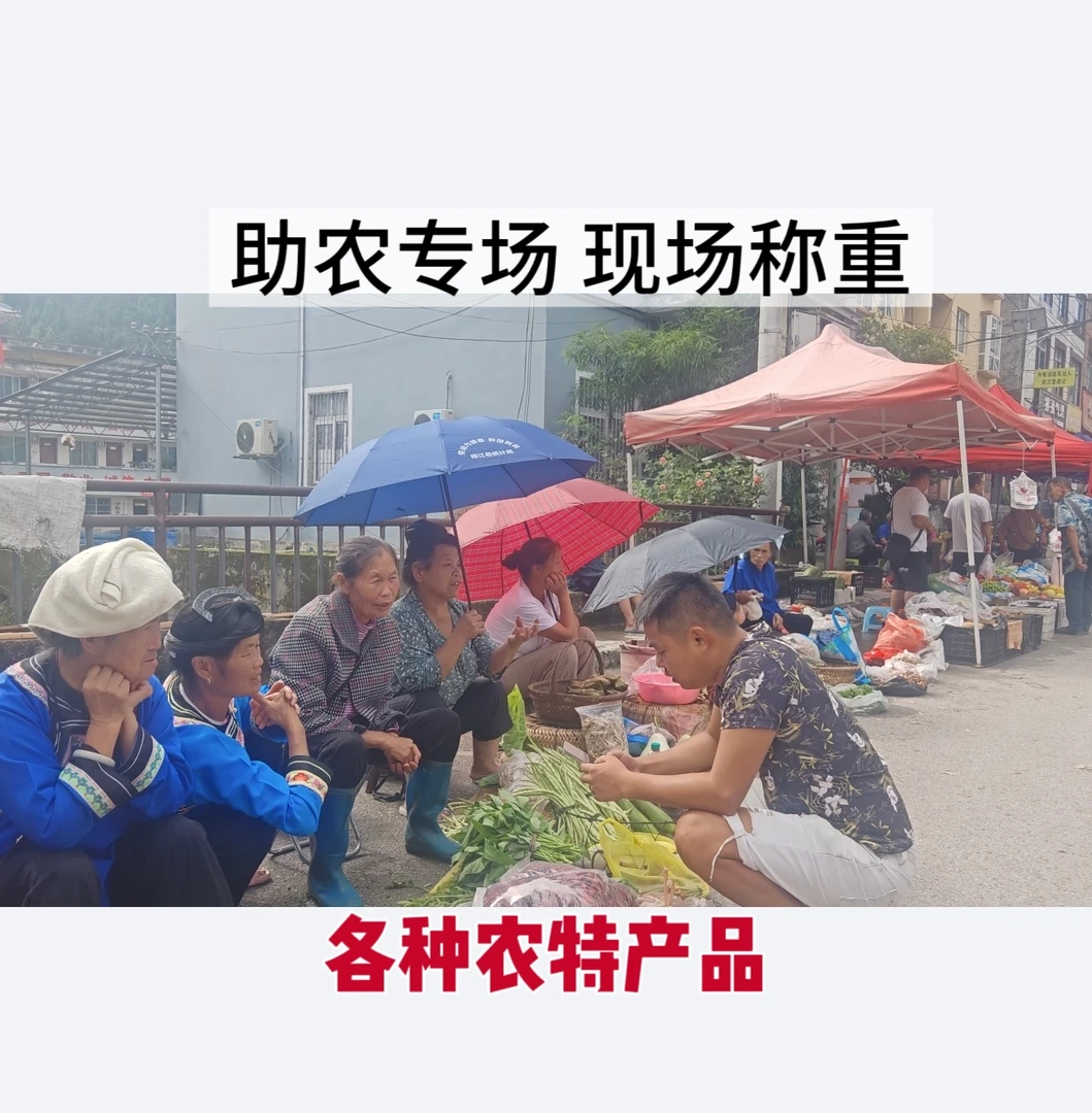 助农代购代买土特产