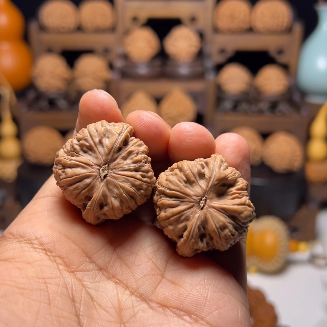 文玩核桃把件35金蝉子平底锅