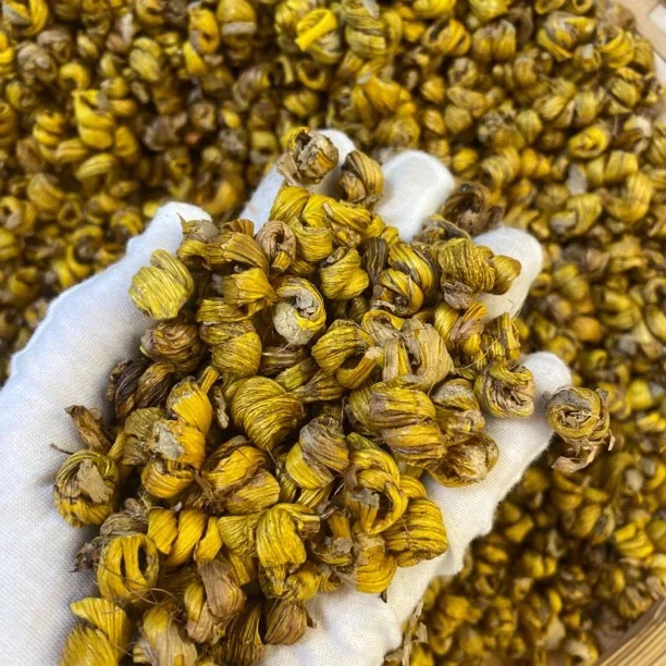 【鸡哥专属】金毛兰石槲【鱼胶福利】