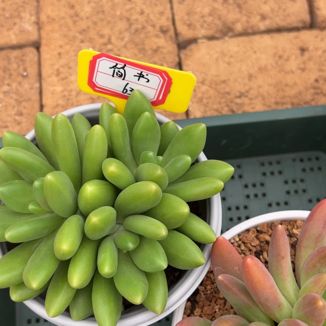 郁***书简书63。