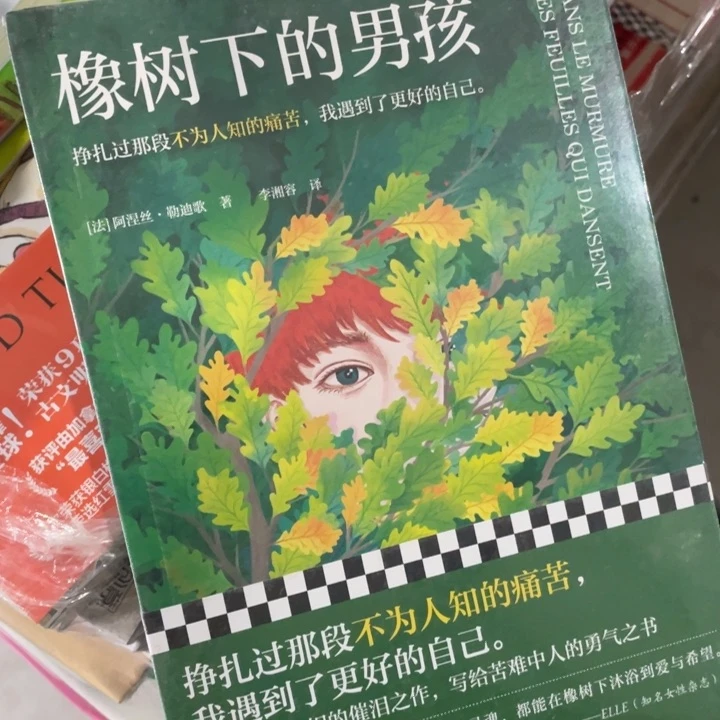 橡树下的男孩正版塑封