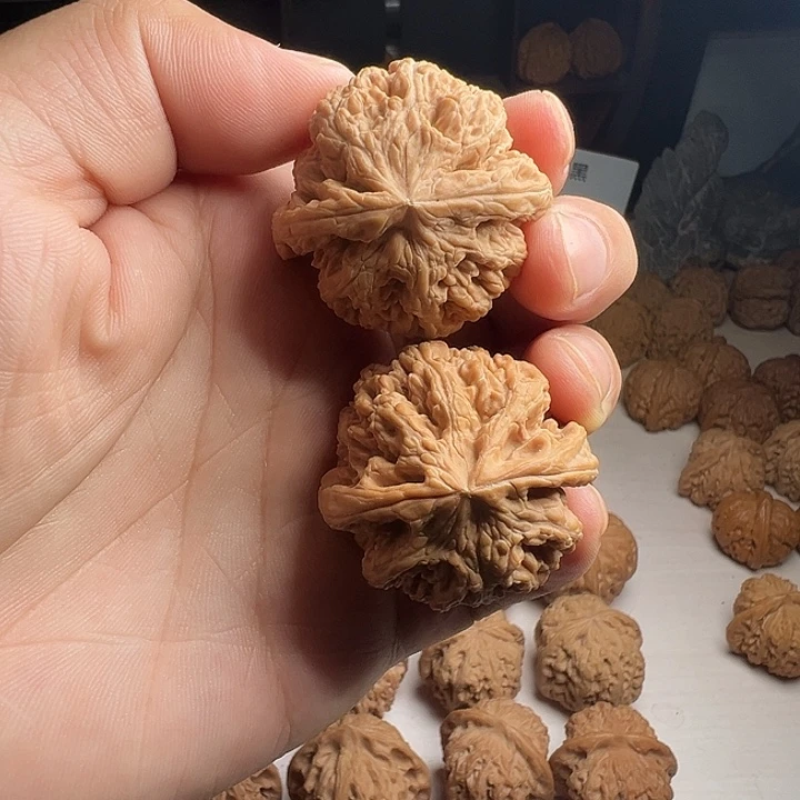 40全品大粗筋狮子头