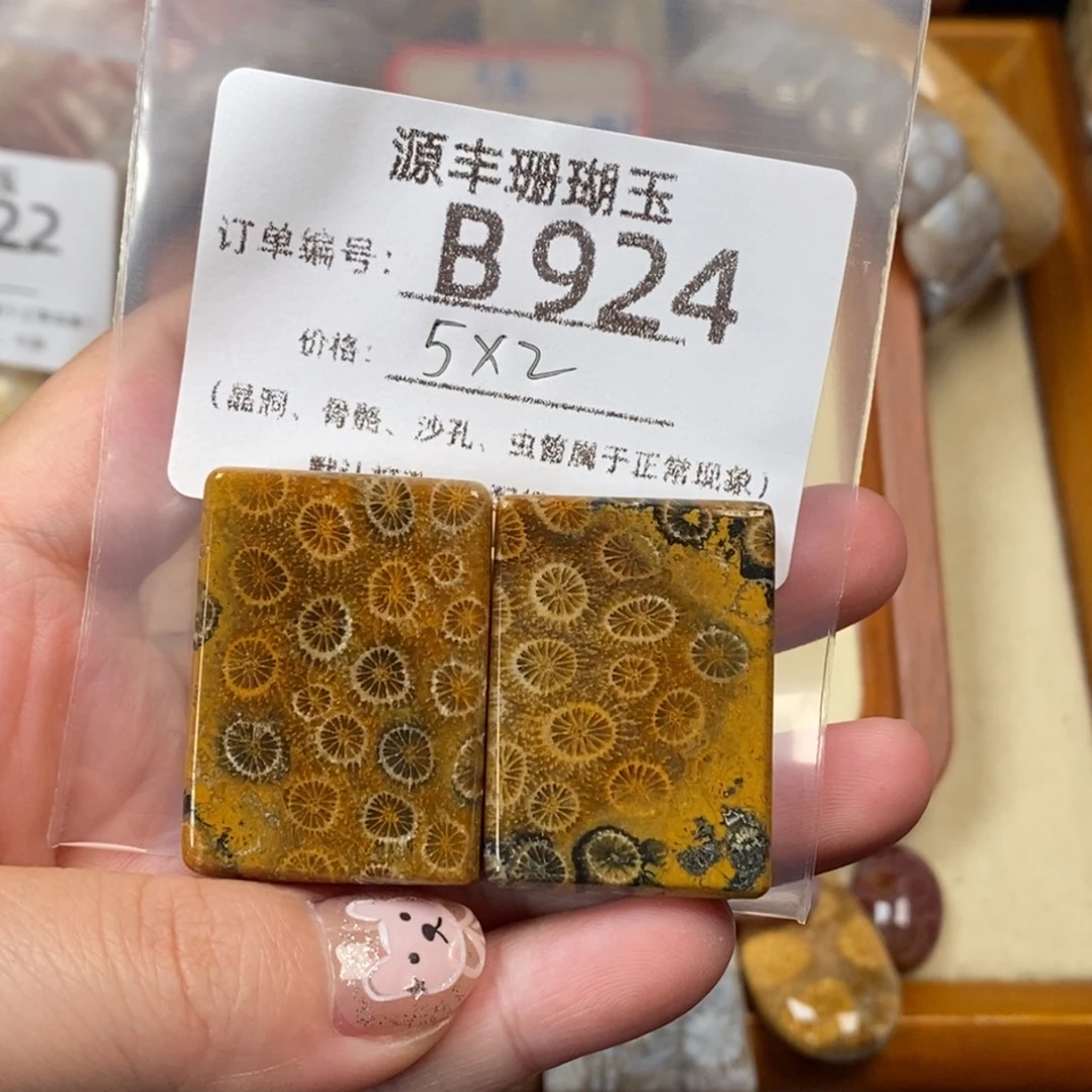 小***y未镶嵌颈饰硅化玉
