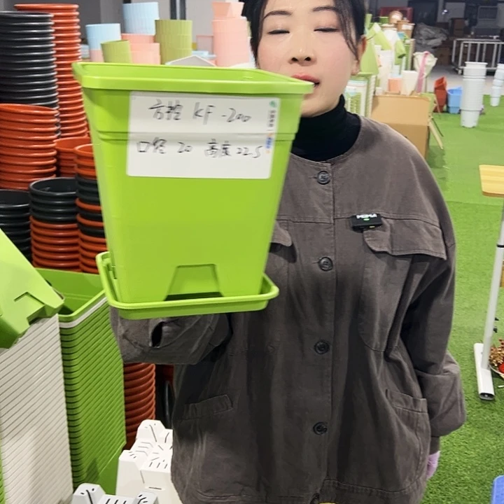 正品方盆口20高22果绿6只带托