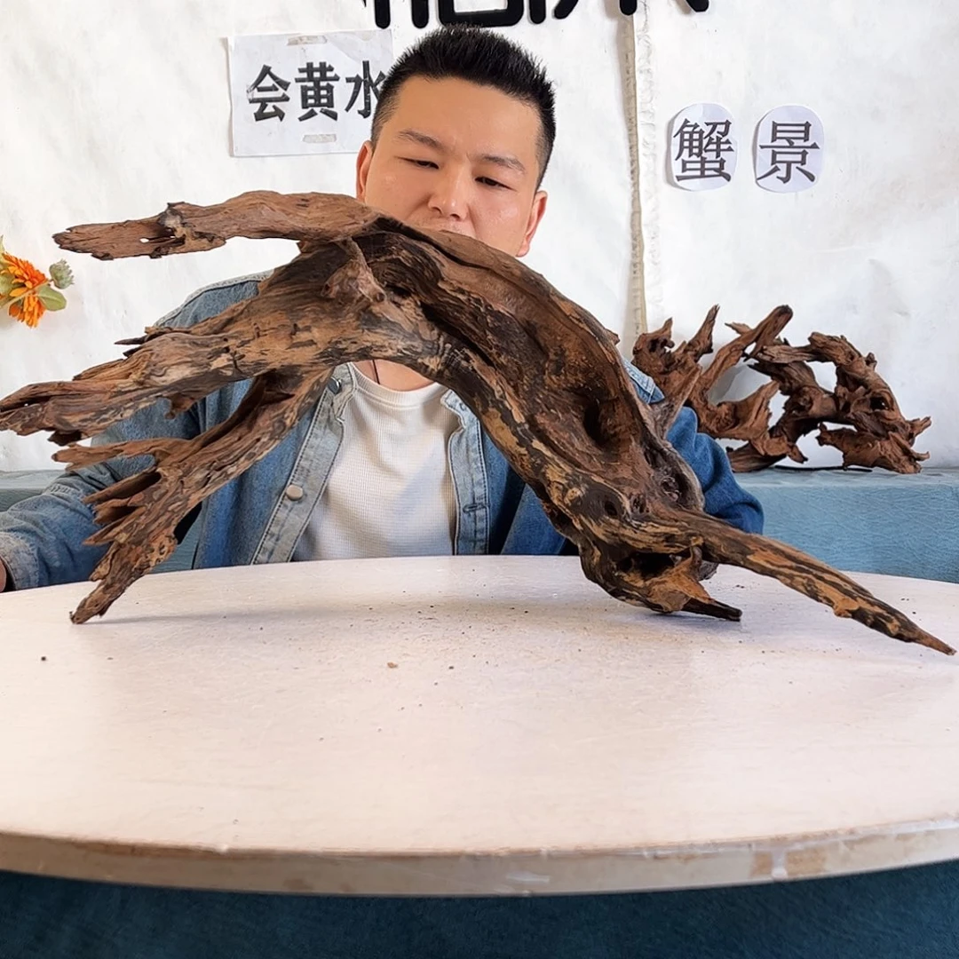 62.28.30 沉木造景爬宠造景