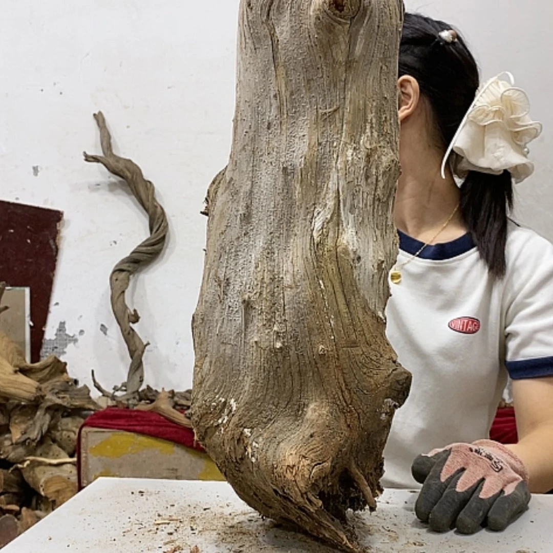 【闪购商品】柏木不****头我们都是好孩子