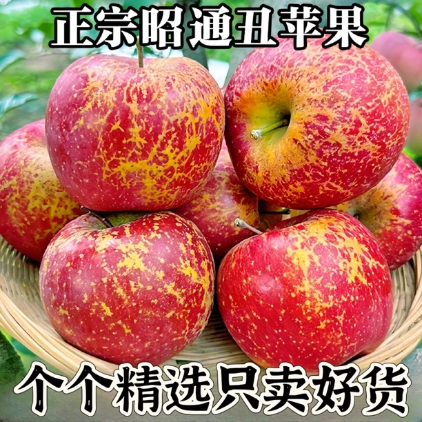 云南昭通红露苹果脆甜多汁冰糖心红富士产地现摘新鲜水果包邮2斤