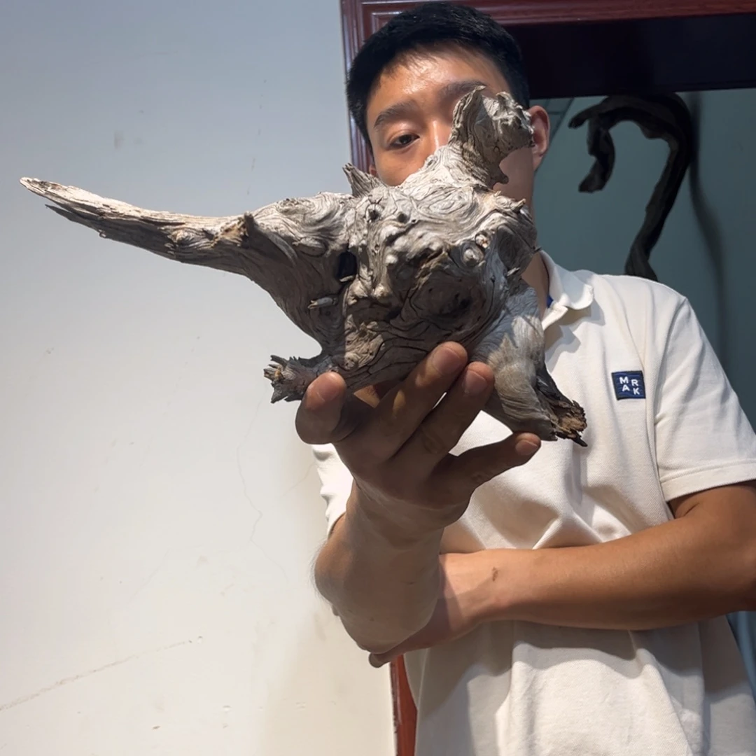 自***者柏木（崖柏）陈化的