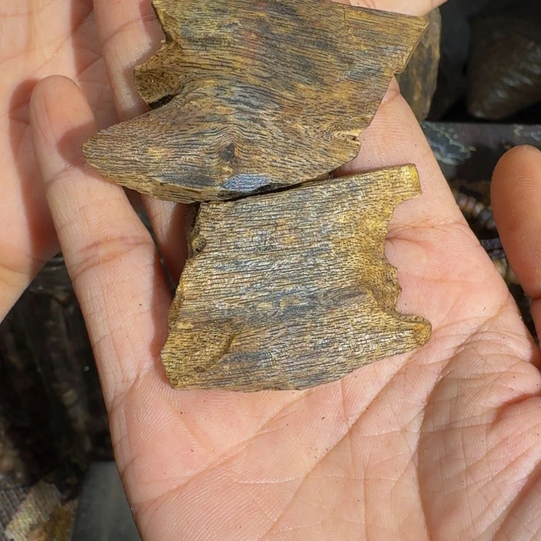 宁***）沉香碎屑沉香海南乌身存放老料14.3克