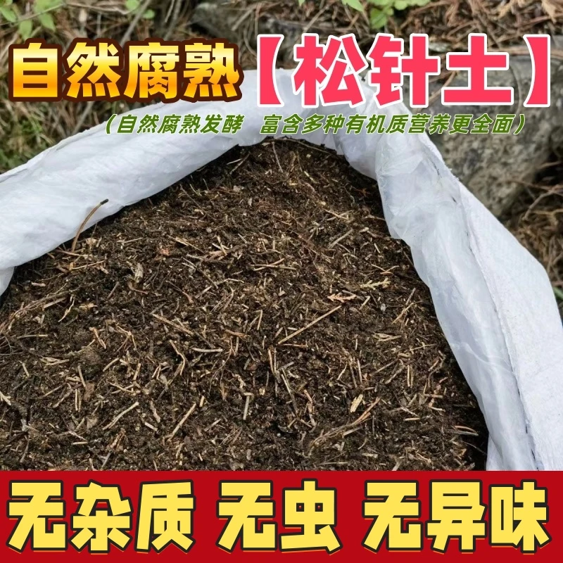 纯松针腐殖土酸性营养土兰花杜鹃花土君子兰种菜蓬松腐熟发酵家用