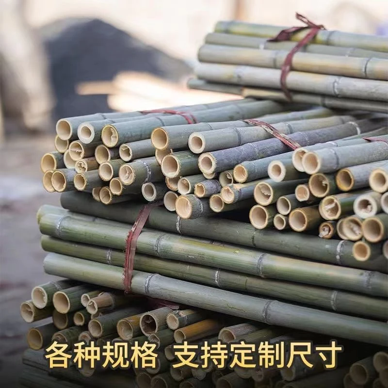 竹竿栅栏菜园支架黄瓜竹竿搭架豆角搭架专用杆豆角架杆番茄架支撑