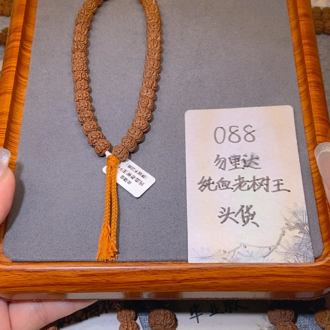 金刚菩提吊坠088头货勿里达纯血老树王9.2