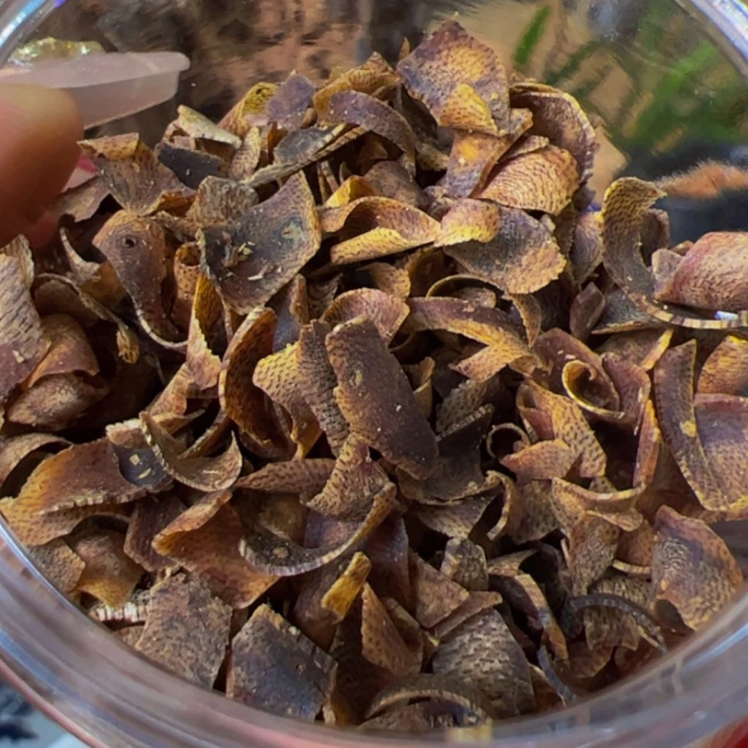 【闪购商品】沉香手把件奇楠白圈高端老料切片10克