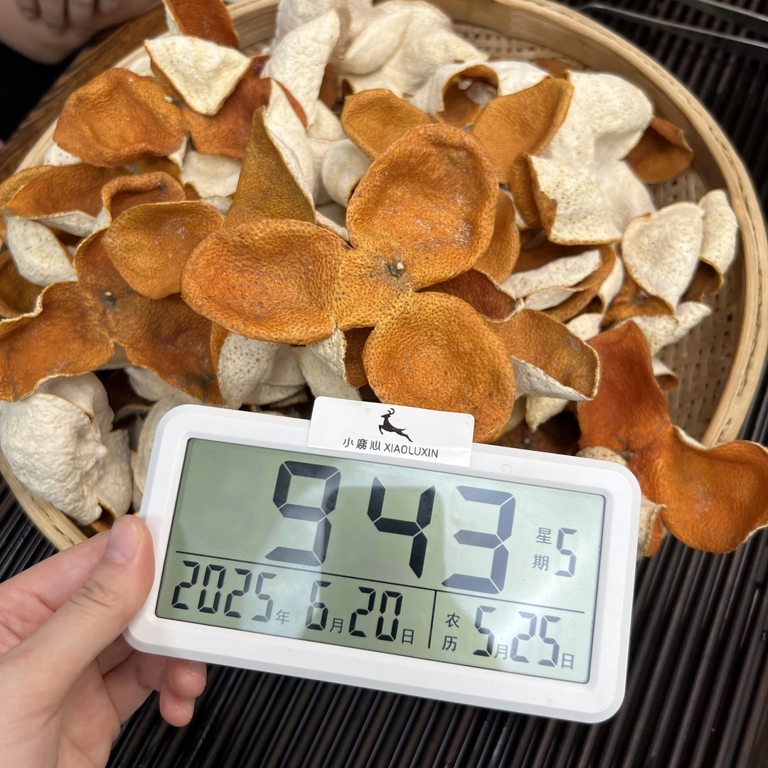 2024新会梅江圈枝大红新皮 ①小鹿收茶  新会新皮 6月20