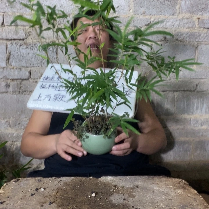 @****?退款拉黑一物一拍297