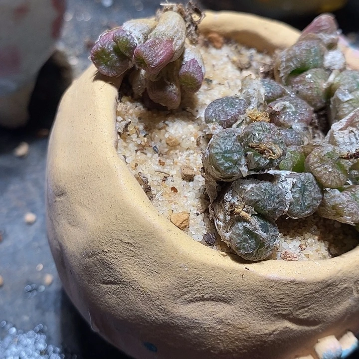 编号流水铜壶一群。