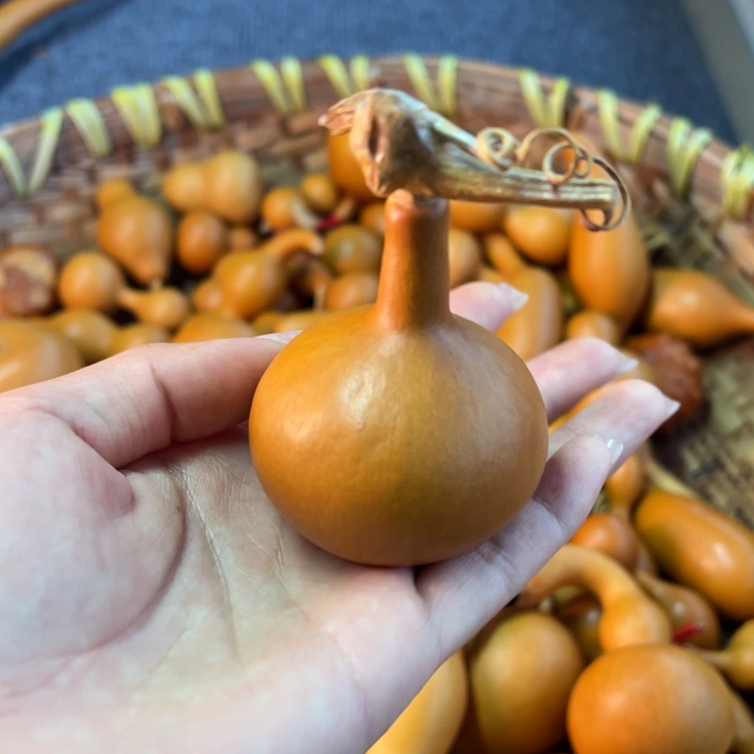 将***e葫芦葫芦葫芦葫芦葫芦