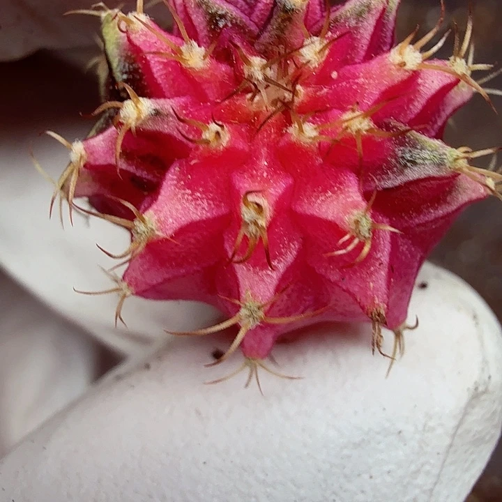 不要说对不起哦亲爱的宝宝今天526哈哈