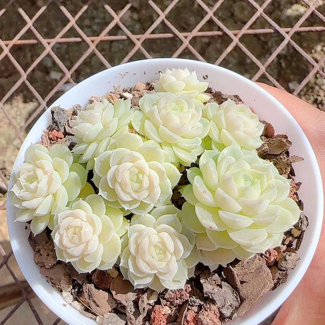 1231-14（ppt-55）优选