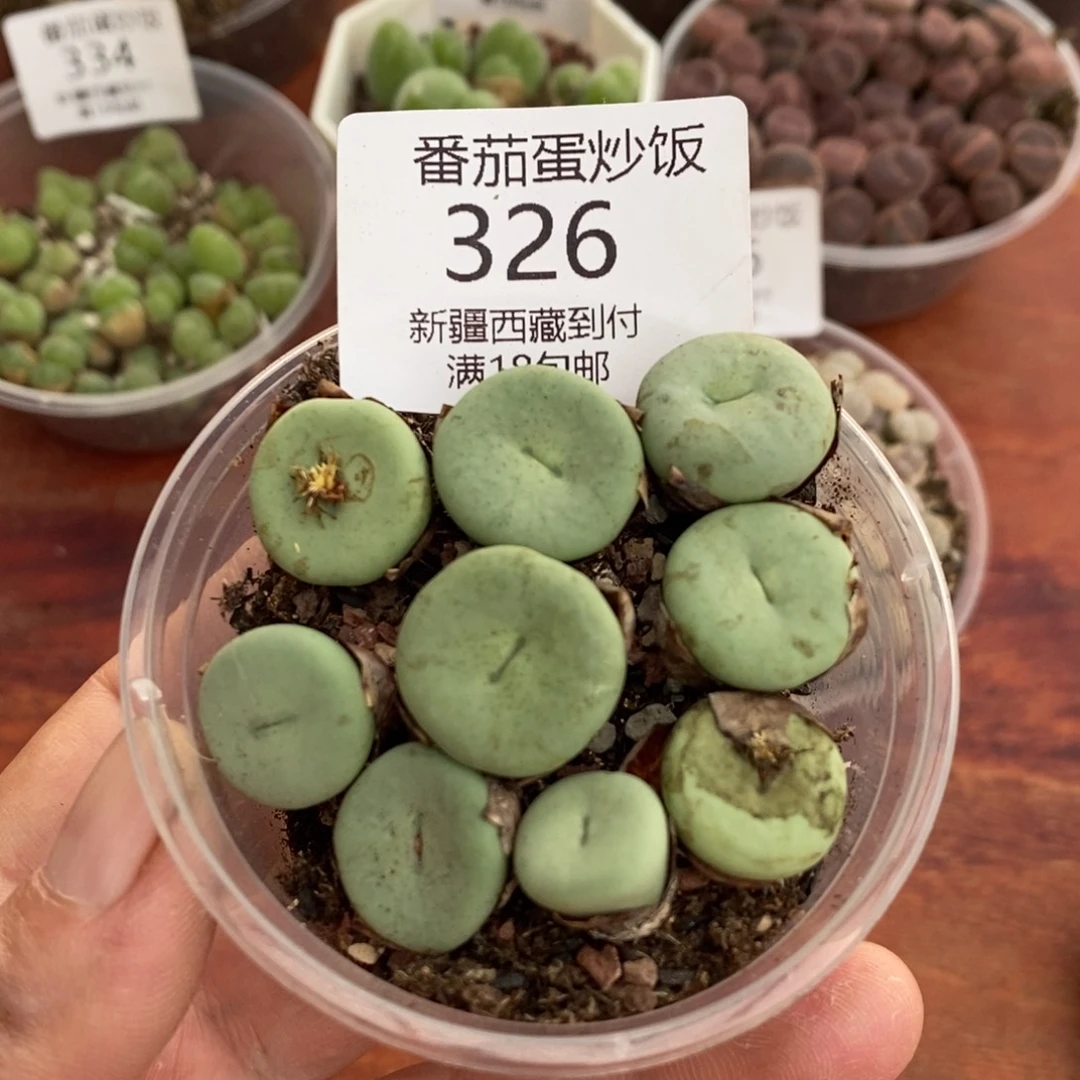感谢您的支持，嘴，0326