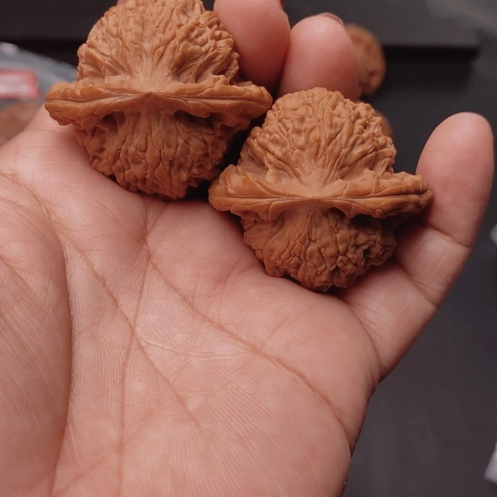 核桃马老四41尺核桃
