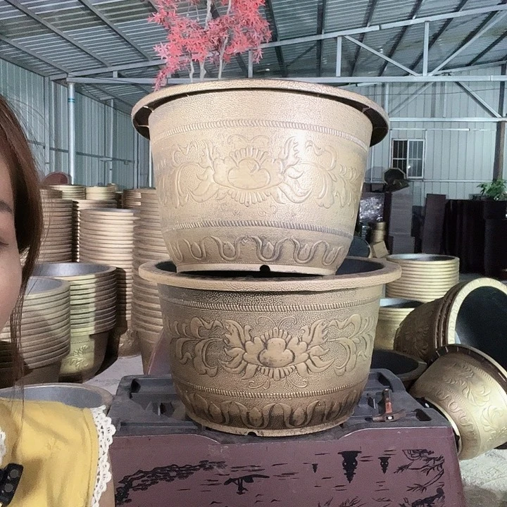 盆景885556556868559