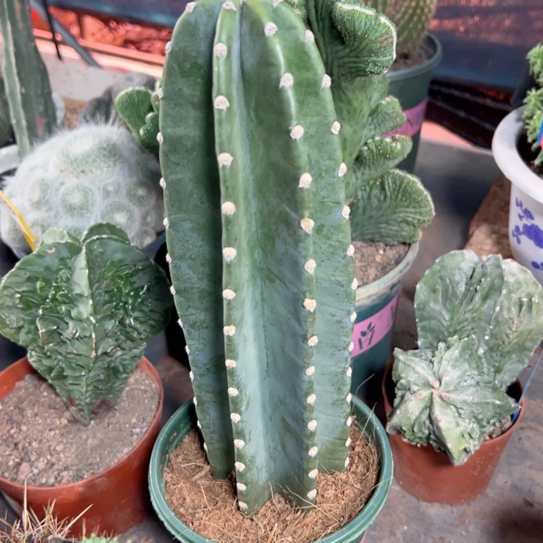 快***党哈哈哈哈哈哈哈哈哈哈哈