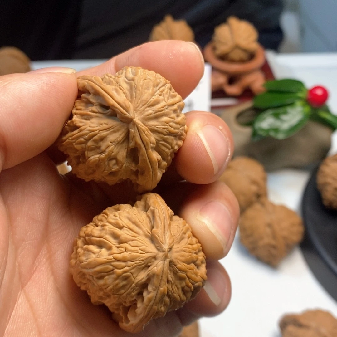 文玩核桃把件B028白狮子福利