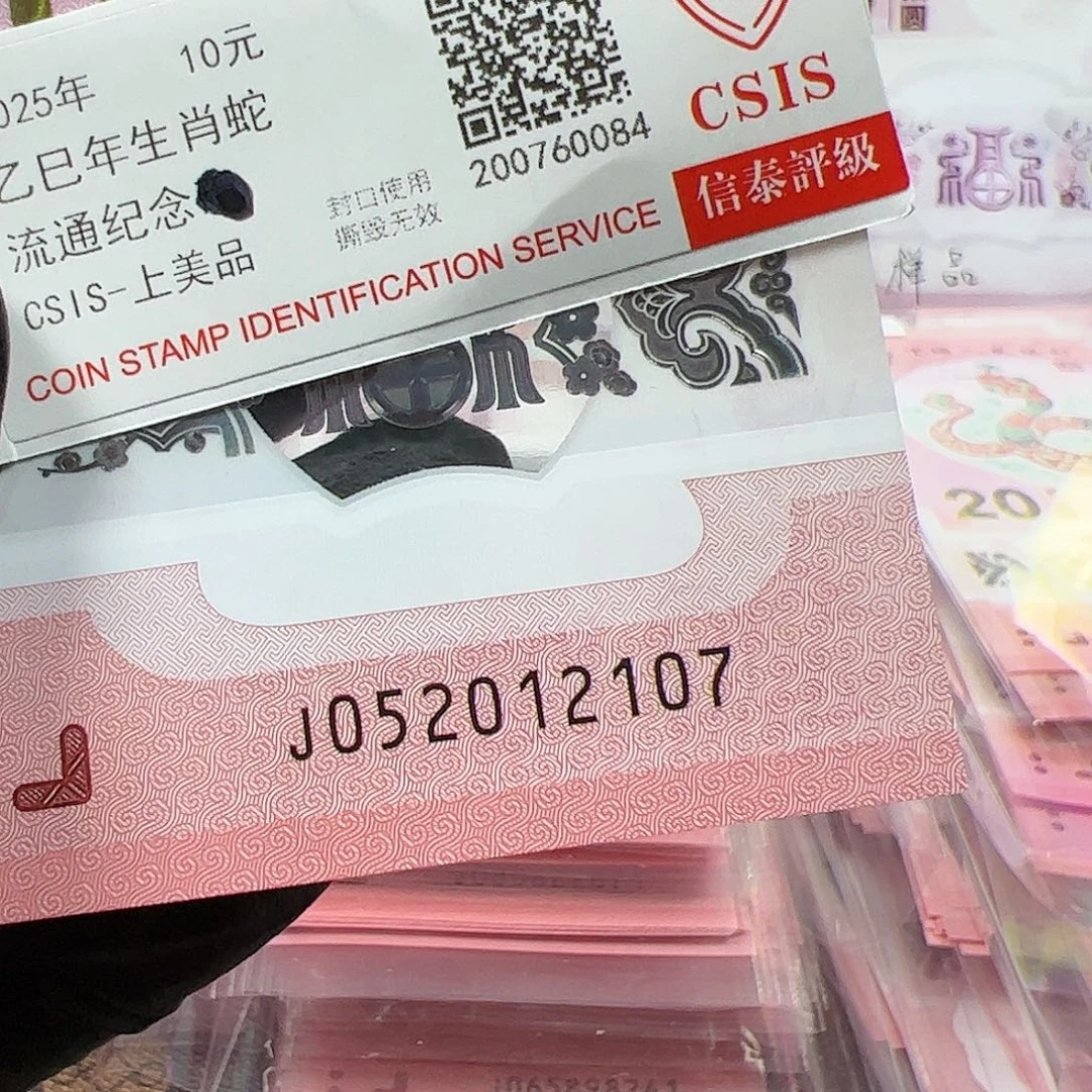 J052012107单张简易封装蛇