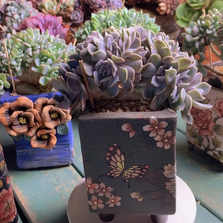 汉堡小树朵朵无砍