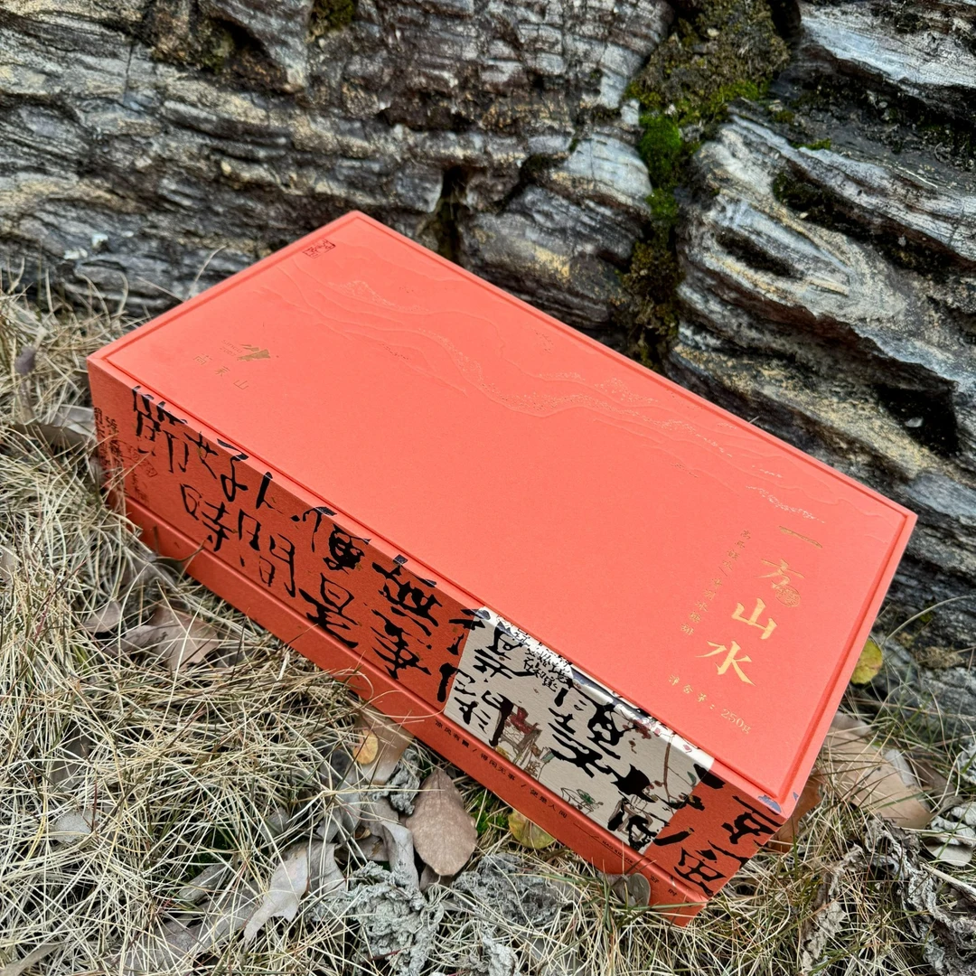高家山黑茶2024年芙蓉山单采白毫天尖小方片一方山水礼盒250g