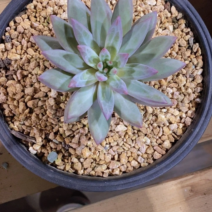 这么多小东西也就一