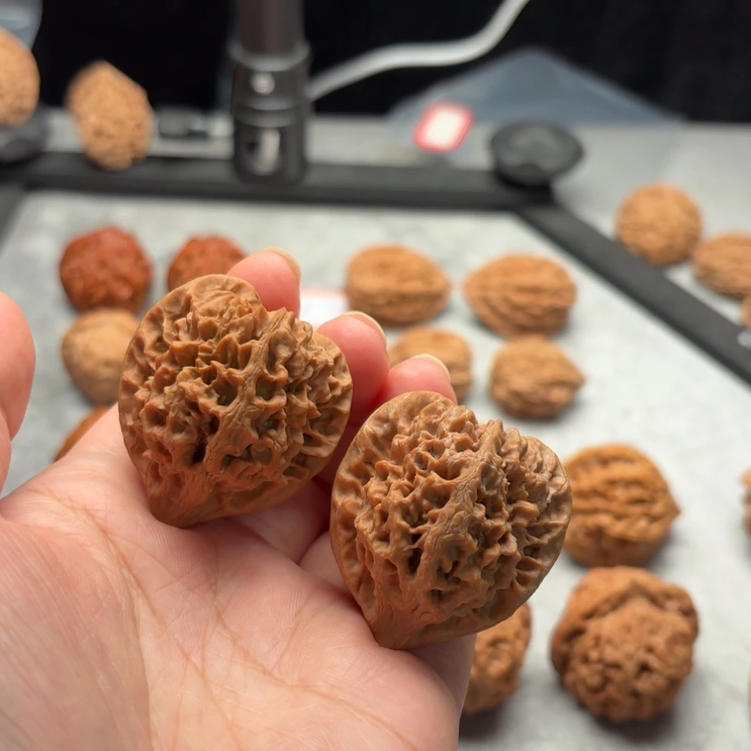 吊坠文玩核桃太行龙纹【3903】39.40.43